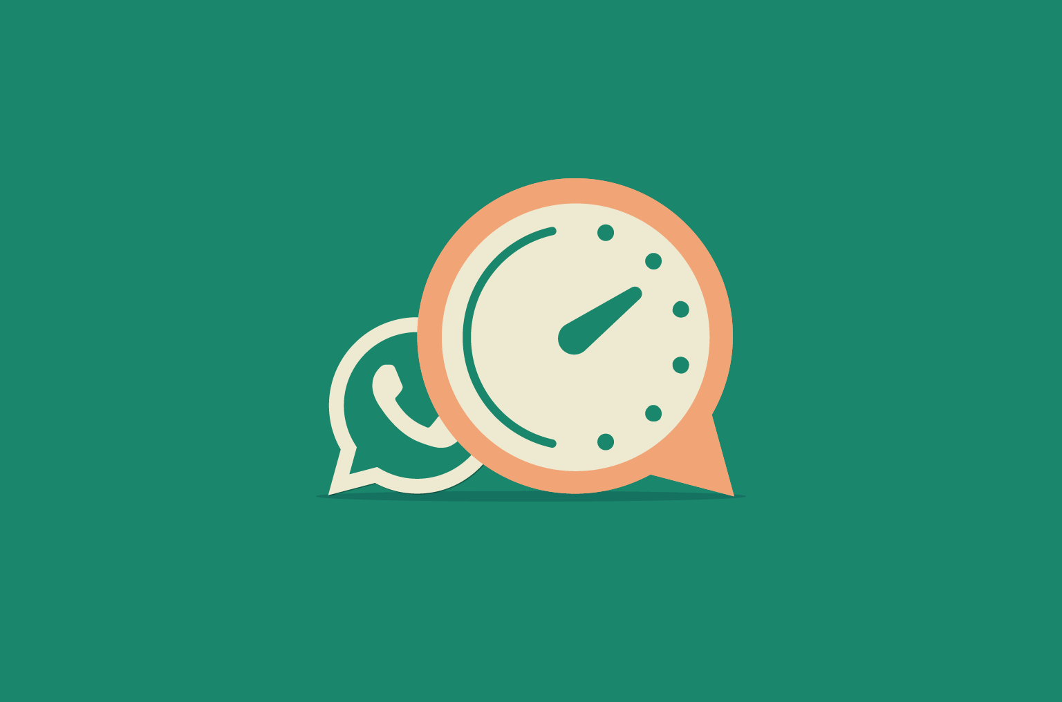 What information can be found on WhatsApp business accounts? Use Digital Planet for type filtering!